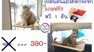 เปลนอนแมวติดกระจก ให้แมวนอนกลางวันชิวๆ Cat Accessories