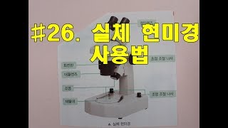 #26 실체 현미경 사용법