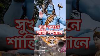 সুখ স্বপনে শান্তি শ্মশানে।। #samsan #pilgrim #chakda #shorts