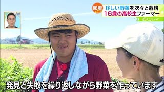 ときめき野菜通信〜野菜を愛する高校生ファーマー【どさんこワイド179】2023.08.29放送