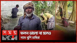 চাঁপাইনবাবগঞ্জে ১২০০ কৃষককে সোনালী আশেঁর সার-বীজ বিতরণ | Chapai Nawabganj | Jute | Golden Fiber