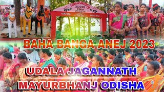 UDALA JAGANNATH BAHA BANGA ANEJ 2023 ll #biky_official_vlogs