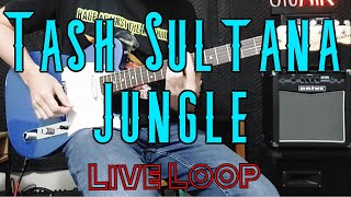Tash Sultana - Jungle (Live Loop Guitar Cover)