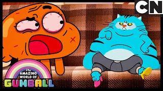 Das Chaos | Die Fantastische Welt Von Gumball | Cartoon Network