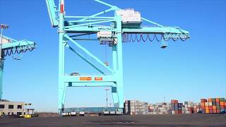 #Solutions #Howwedoit Sarens SPMTs take on 1700 tonne shipping cranes!