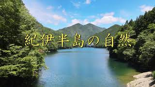 紀伊半島の自然 ４K 空撮　　02:17  突然、機体の前を何かが横切ります。