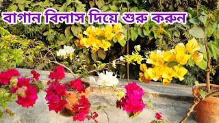 বাগান শুরু করুন বাগান বিলাস গাছ দিয়ে|Let us start gardening with bougainvillea plant|SOBUJ BASANTO|