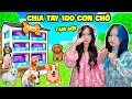 SAMMY VÀ MÈO SIMMY PHÁT KHÓC KHI CHIA TAY 100 CON CHÓ TẬP CUỐI