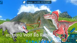 របៀបចាប់RaptorនឹងWolfក្នុងArk | Ark mobile