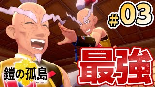 【ポケモン剣盾】遂にダクマがウーラオスに進化！最強のチャンピオン「マスタード」戦#03【ポケットモンスターソードシールド】