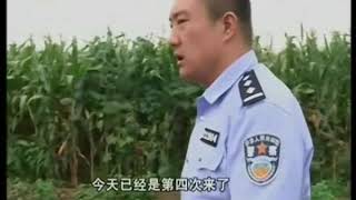 案件被执行人身手不凡“四下逃窜”，执行法官“一路狂追”