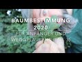 Baumbestimmungskurs 2020 (Teil 3)