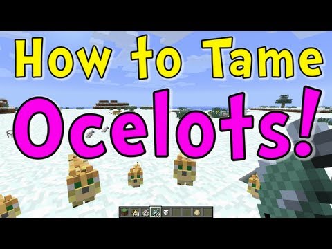 Minecraft Quick Tips - How to Tame Ocelots (Kitty Cats) Minecraft Quick Tips - How to Tame Ocelots (Kitty Cats)
