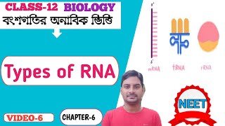 Types of RNA in Bengali ll Function of mRNA , t RNA, rRNA IN BENGALI,