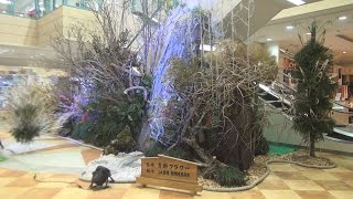 巨大生け花お目見え　常陸大宮の「ピサーロ」　来年１月10日まで展示