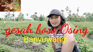 gesah guyon boso Osing Banyuwangi