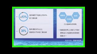 你知道“蓝碳”是什么吗？专家建议完善蓝碳标准体系