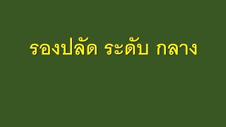 รองปลัด ระดับ กลาง