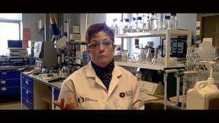 Cellulose biodegradable microbeads could cut microplastics ocean pollution