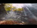 Alone with God  Instrumental Worship & Prayer Music With Scriptures & Autumn Scene 🍁CHRISTIAN piano