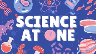 Science at One - UNDERWATER WEEK