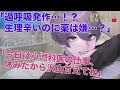 【女性向けボイス】優しい小児科医の彼氏。生理痛で寝込む、薬と病院嫌いな女の子の日の病み彼女のあなた…甘え下手で頑張り過ぎる、号泣して過呼吸発作になる君を優しい年上男子が慰め添い寝、寝かしつけ甘やかす。