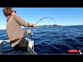 GIANT TUNA Hooked on Topwater Gear Whilst Fishing for Kingfish