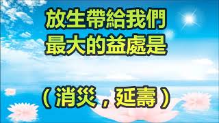 放生烏龜有靈性，臨走前還會揮手道別！！