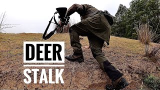 NZ DEER STALK local stalk and shooting GONGS at 550m