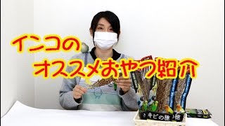 インコたちのおやつ 国産無農薬のキビの穂って知ってますか！？　-　とりっぴー