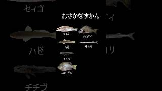 Fish encyclopedia #Fishing girl #Fishing #Subtitle translation #Japanese girl #Tokyo