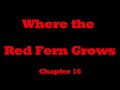 Where the Red Fern Grows - Chapter 16