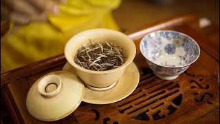 1 Búp Trắng Như Mây Mùa Xuân.
