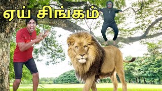 ஏய் சிங்கம் என்ன பண்ற | comedy video | funny video | Prabhu Sarala lifestyle