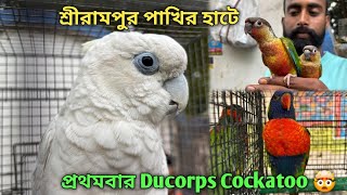 Serampore Pet Market 💥|🔥 Recent Bird Price Update | First Time Ducorps Cockatoo🤯