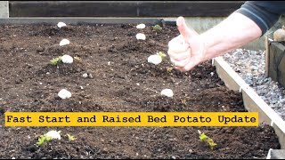 Grow Organic Potatoes  Fast Start and Raised Bed Potato Update