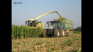 *KUKORICA SILÓZÁS* Pinkamenti Agrár Kft. \