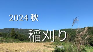 2024 秋　稲刈り