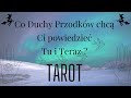 🍀🌸🍀 Co Duchy Przodków chcą Ci powiedzieć Tu i Teraz ? 🔮  || TAROT