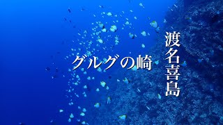 グルクの崎・渡名喜島・ディーズパルス沖縄