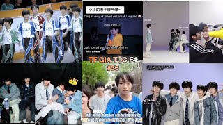 [TikTok] TF Gia Tộc F4 #36| Vựa muối Tứ Đại trai đẹp thương không bình thường#tfgiatộcf4