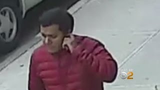 Sunset Park Grope Suspect Sought