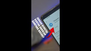 Be Careful When Chatting Using Telegram Shorts