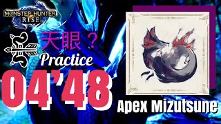 【MHR】弓(練習) ヌシ・タマミツネ  04‘48“01 Bow Apex Mizutsune 弓 霸主泡狐竜 monster hunter rise