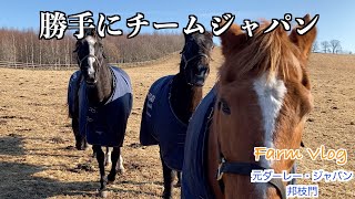 【アドマイヤジャパン】勝手にチームジャパン！？40選