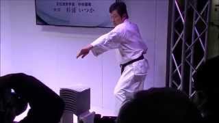 瓦割り（空手道）：Smashing roof tiles in Karatedo(Japanese traditional martial art