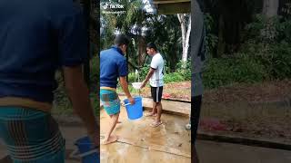 মানুষ এখনো এত বোকা কে দেখেন তাহলে #malaysia #new #video #viral