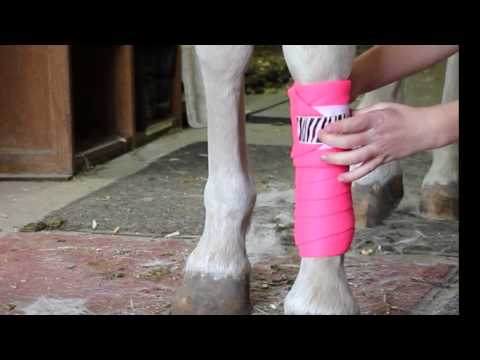 How To Wrap Polo Wraps || Tutorial How To Wrap Polo Wraps || Tutorial