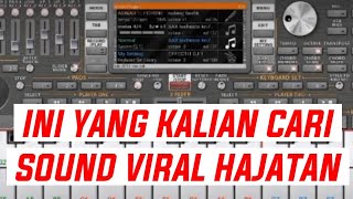 Musik Keyboard Elektone Hajatan Viral di Tiktok dan Instagram