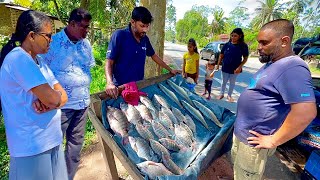 Amazing! A Day In the Life Of a Village Fishmonger's Fresh Fish Market